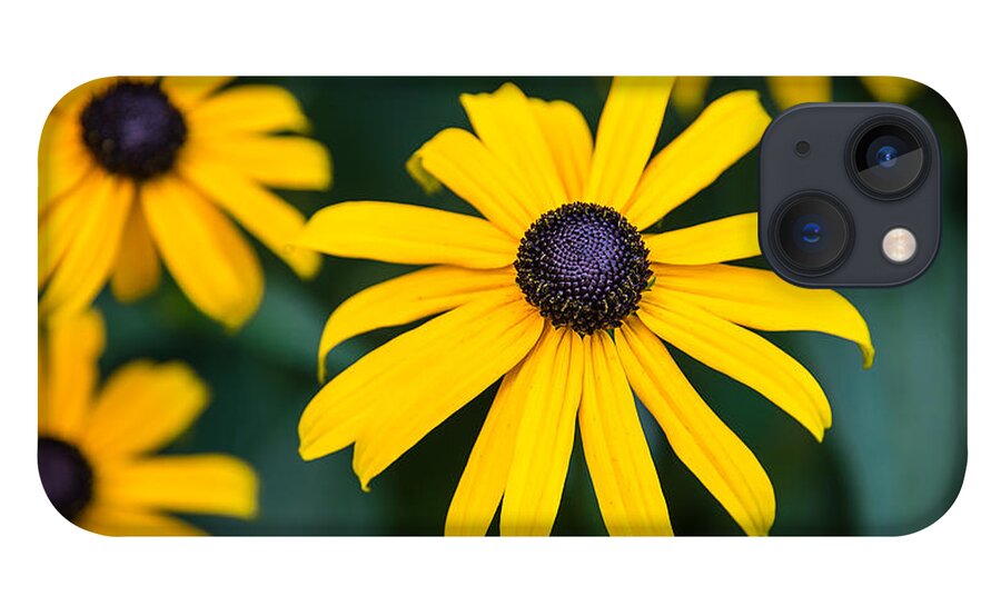  iPhone 13 Case featuring the photograph Yellow Daisy by David Downs