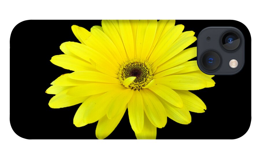 Yellow iPhone 13 Case featuring the photograph Yellow Daisy Flower by Delynn Addams by Delynn Addams