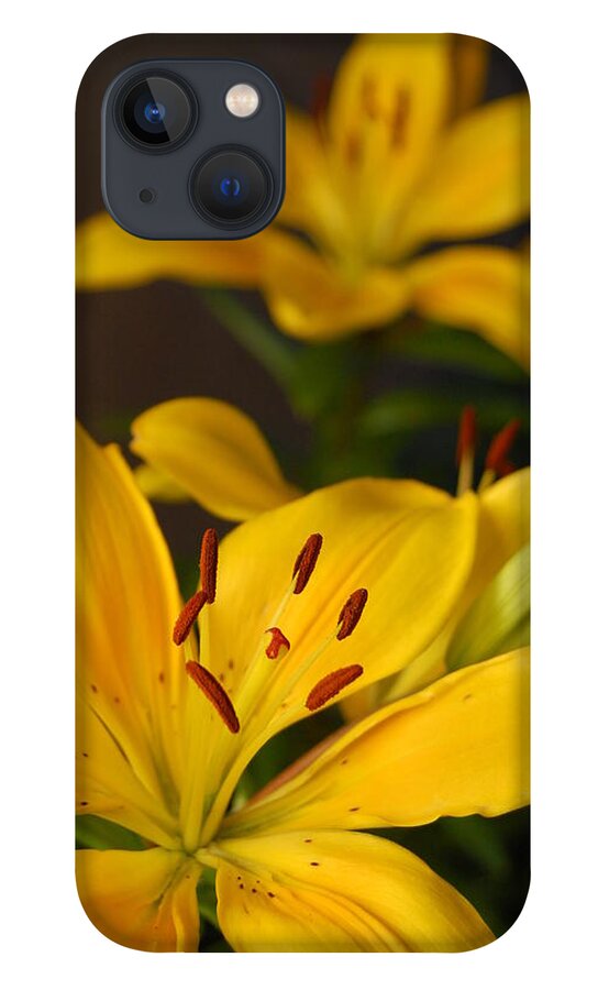 Flower iPhone 13 Case featuring the photograph Yellow Lily Mirror by Amy Fose
