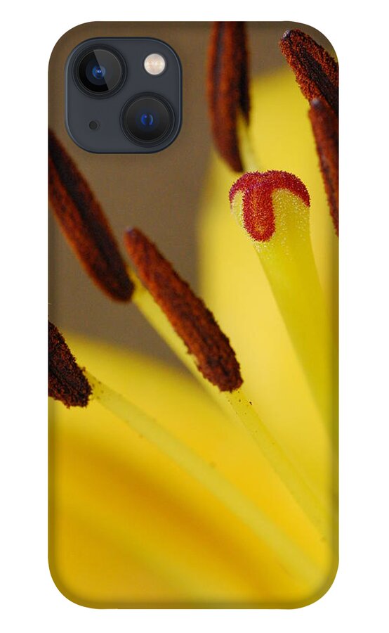 Flower iPhone 13 Case featuring the photograph Yellow Lily Reach 2 by Amy Fose
