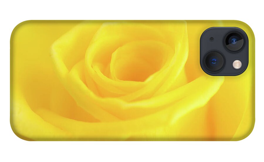 Yellow Rose iPhone 13 Case featuring the photograph Yellow Rose by Andy Myatt