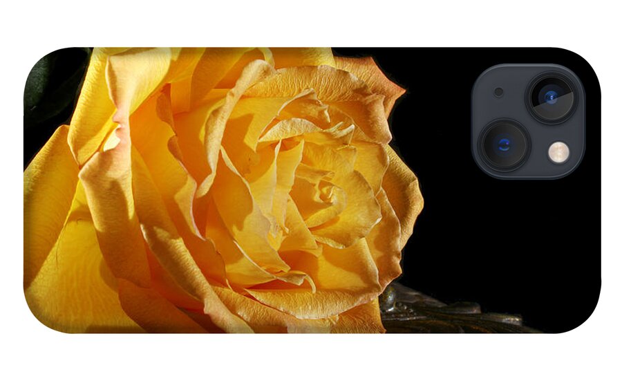 Yellow iPhone 13 Case featuring the photograph Yellow Rose by Robert Och