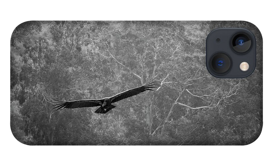 Animal iPhone 13 Case featuring the photograph California Condor in Flight II BW #1 by David Gordon