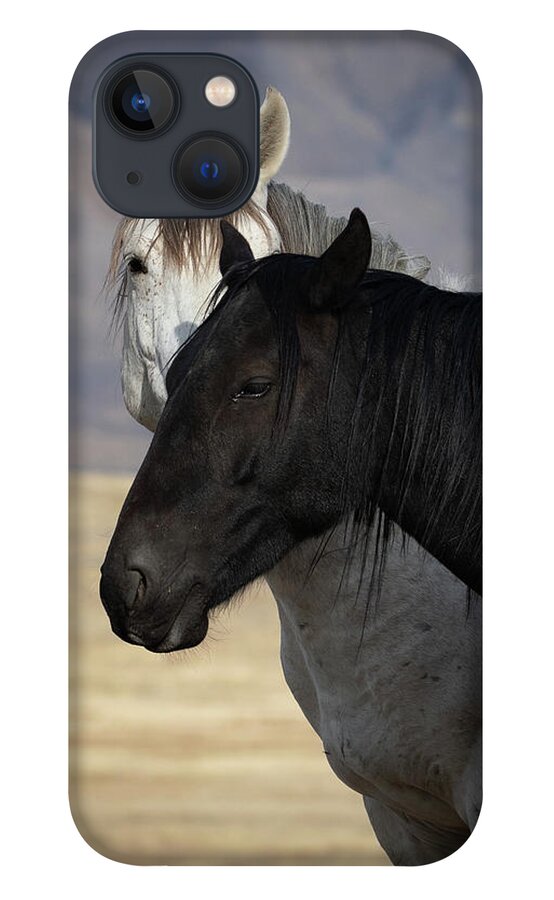 Wild Horses iPhone 13 Case featuring the photograph Contrasts #1 by Mary Hone