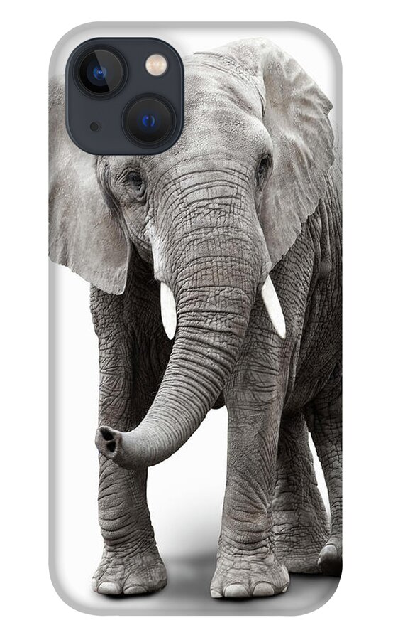Toughness iPhone 13 Case featuring the photograph Elephant by Burazin
