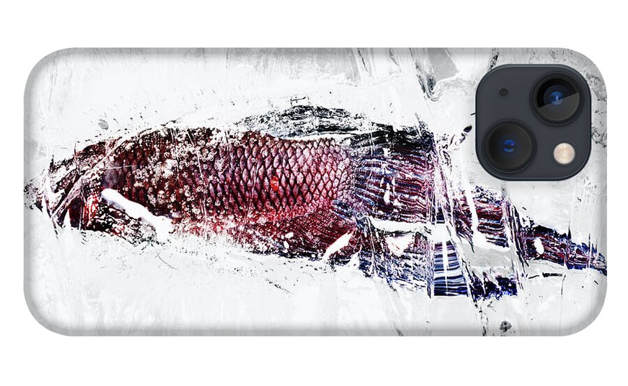 Outdoors iPhone 13 Case featuring the photograph Fish In Ice #1 by Yusuke Murata