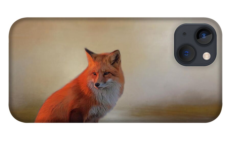 Fox iPhone 13 Case featuring the photograph Foxy by Cathy Kovarik