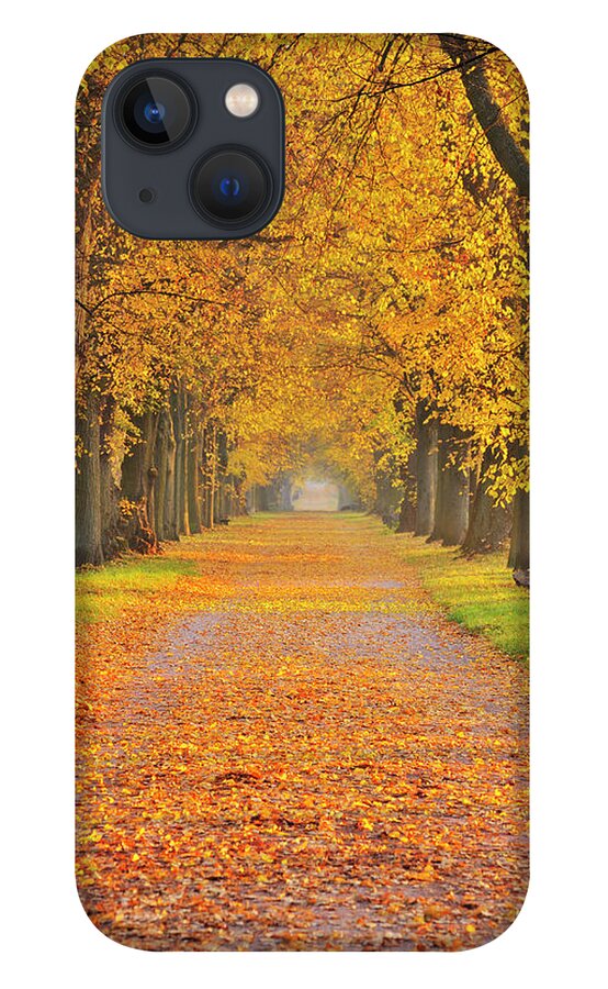 Orange Color iPhone 13 Case featuring the photograph Lime Tree Avenue #1 by Raimund Linke