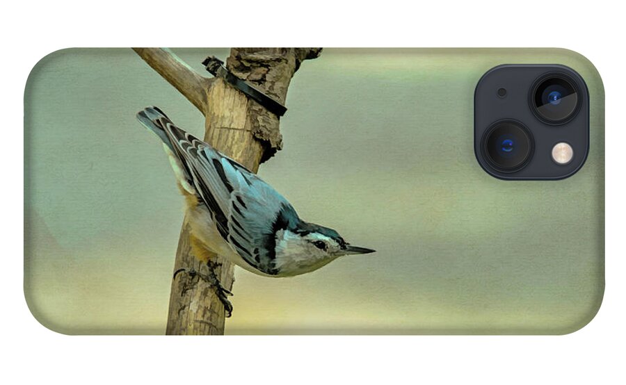 Songbird iPhone 13 Case featuring the photograph Nuthatch by Cathy Kovarik