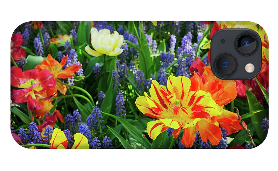 Tulips iPhone 13 Case featuring the photograph Tulips and Bluebell Flowerbed by Anastasy Yarmolovich