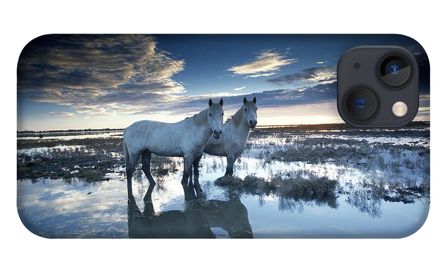 Horse iPhone 13 Case featuring the photograph Wild Horses Equus Caballus, France #1 by Art Wolfe