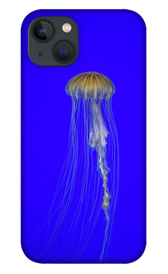 #jellyfish #art #aquarium #sea #ocean #nature #fish #water #photography #sealife #underwater #marinelife #japan #japanese #blue #yellow #gold iPhone 13 Case featuring the photograph Japanese Jellyfish #17 by Kenny Thomas