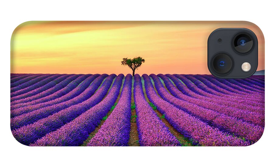 Lavender iPhone 13 Case featuring the photograph Lavender Flowers and Lonely Tree in Provence by Stefano Orazzini