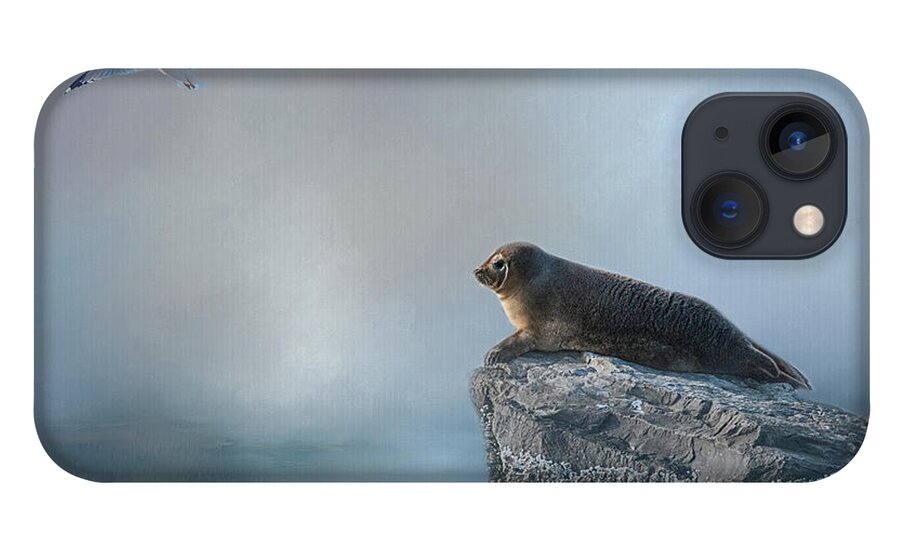 Seal iPhone 13 Case featuring the photograph On The Rocks by Cathy Kovarik