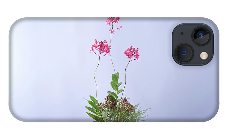 White Background iPhone 13 Case featuring the photograph Flower Arrangement #3 by Ryouchin