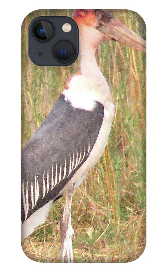 Africa iPhone 13 Case featuring the photograph Bird #5 by Eric Pengelly