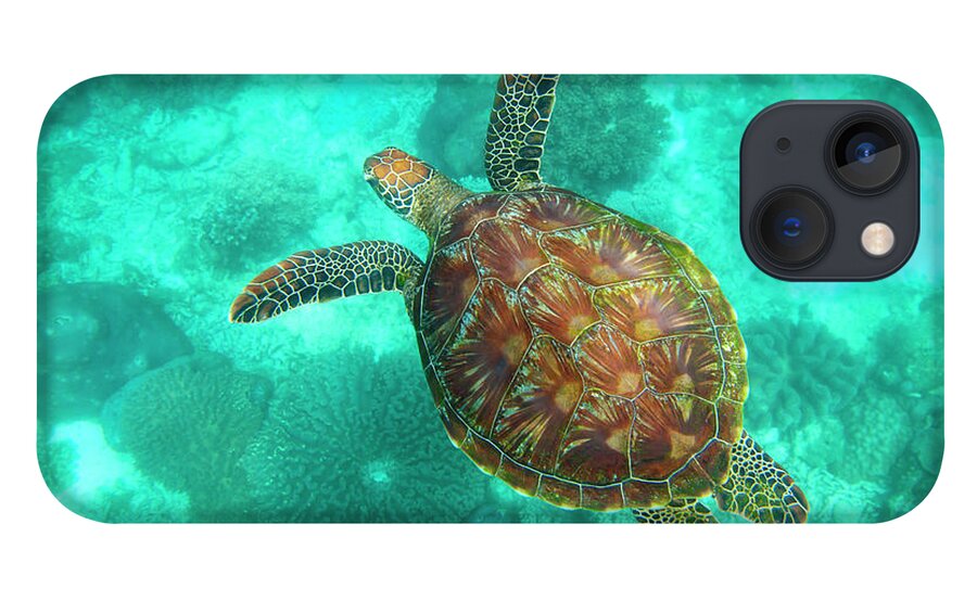 Underwater iPhone 13 Case featuring the photograph A Sea Turtle Swims Underwater In The by Sean White / Design Pics