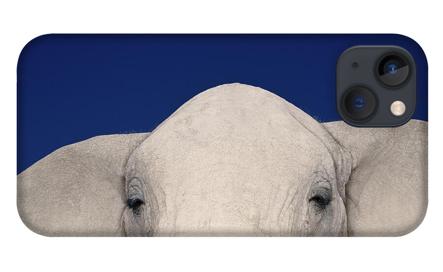 Animal Themes iPhone 13 Case featuring the photograph African Elephant Loxodonta Africana by Ryan Mcvay