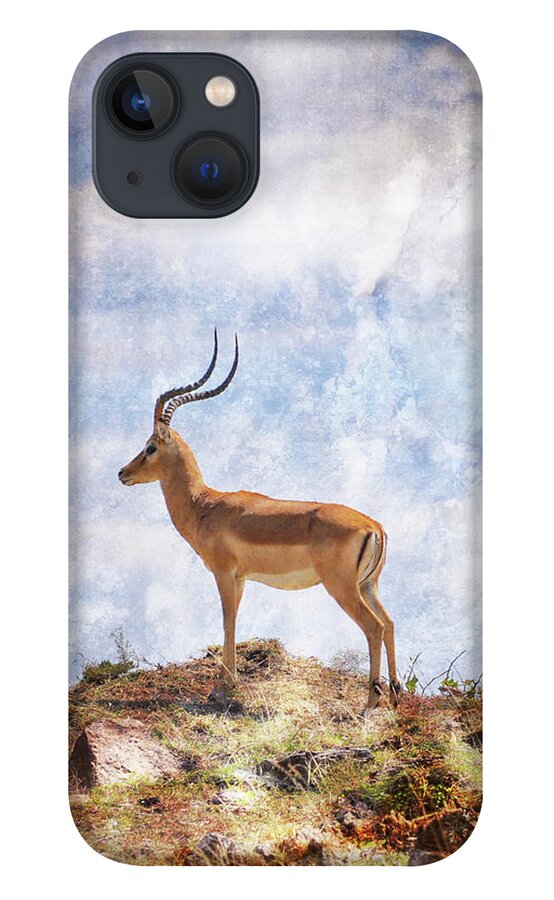 Photography iPhone 13 Case featuring the photograph African Plains IIi by Golie Miamee