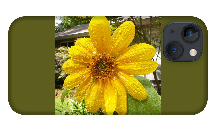 Flowers iPhone 13 Case featuring the photograph After the Rain by Karen Stansberry
