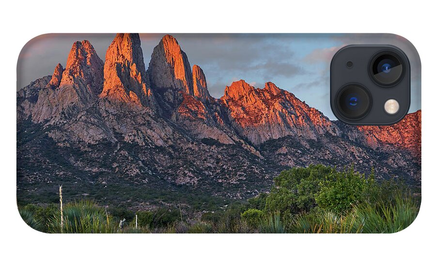 00557650 iPhone 13 Case featuring the photograph Agave, Organ Mts, Aguirre Spring Nra, New Mexico by Tim Fitzharris