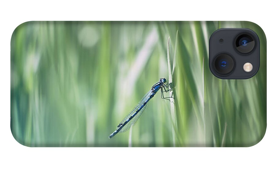 Dragonfly iPhone 13 Case featuring the photograph Around The Meadow 8 by Jaroslav Buna