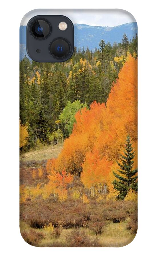 Aspens iPhone 13 Case featuring the photograph Aspens Ablaze II by Karen Stansberry