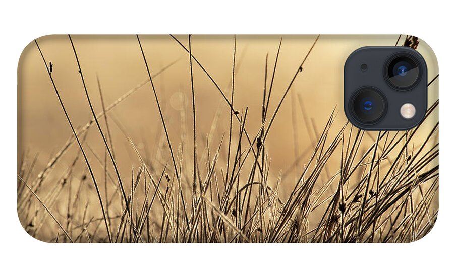 Autumn iPhone 13 Case featuring the photograph Autumn Grass in Colorado by Kevin Schwalbe