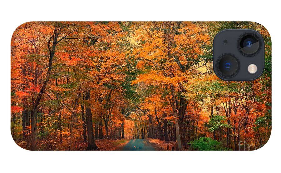 Foliage iPhone 13 Case featuring the photograph Autumn Rain by Dani McEvoy