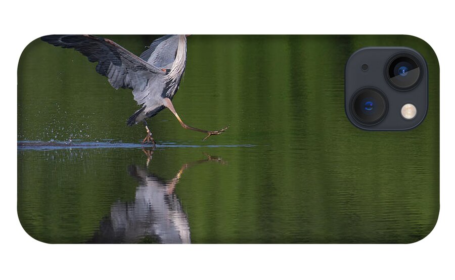 Great Blue Heron iPhone 13 Case featuring the photograph Beep Beep by Art Cole