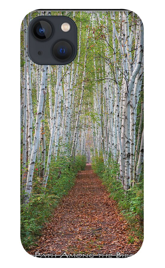 Birch iPhone 13 Case featuring the photograph Birch Path Art Mat Print by White Mountain Images