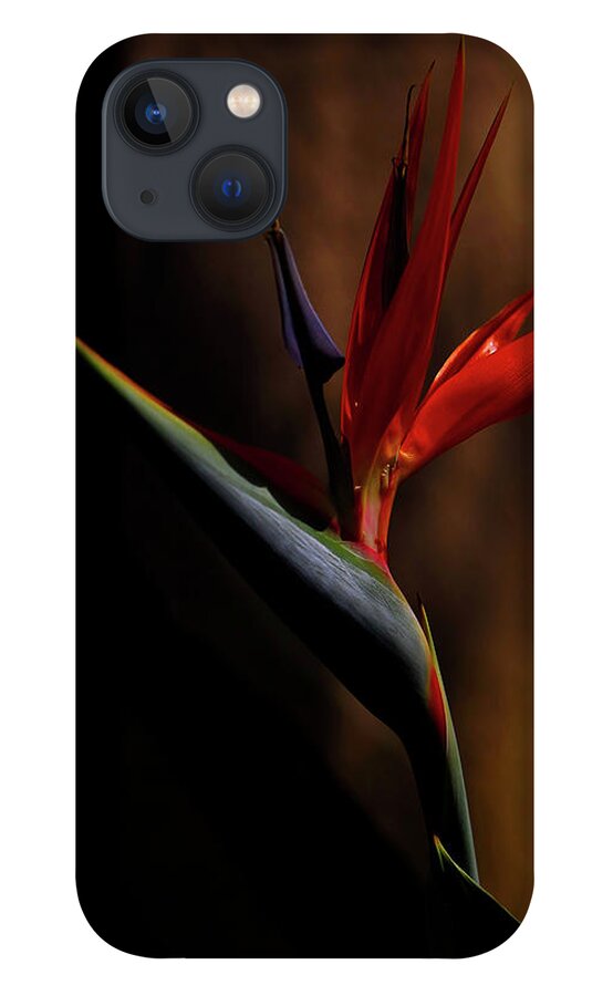Bird Of Paradise iPhone 13 Case featuring the photograph Bird Of Paradise by Kandy Hurley