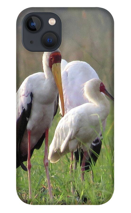 Africa iPhone 13 Case featuring the photograph Birds by Eric Pengelly