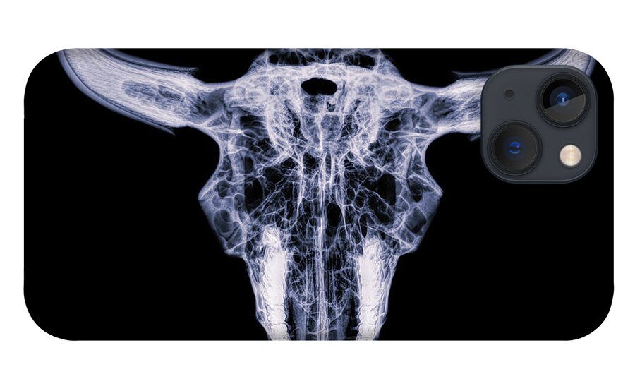 Kansas iPhone 13 Case featuring the photograph Bison skull x-ray 01 by Rob Graham