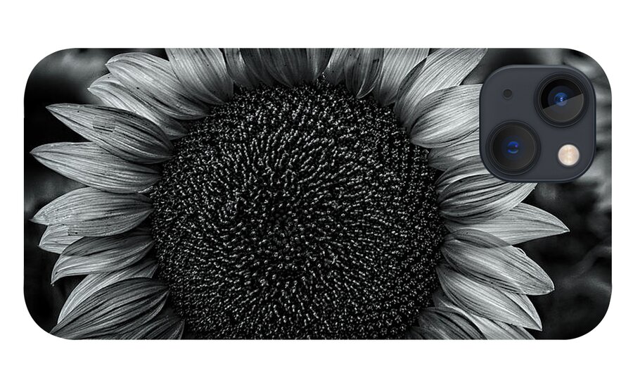 2019 iPhone 13 Case featuring the photograph Black and white closeup of a sunflower in a field at dusk by Phillip Rubino