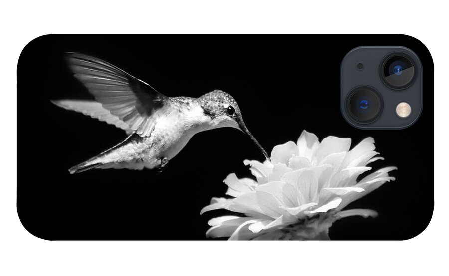 Hummingbird iPhone 13 Case featuring the photograph Black and White Hummingbird and Flower by Christina Rollo