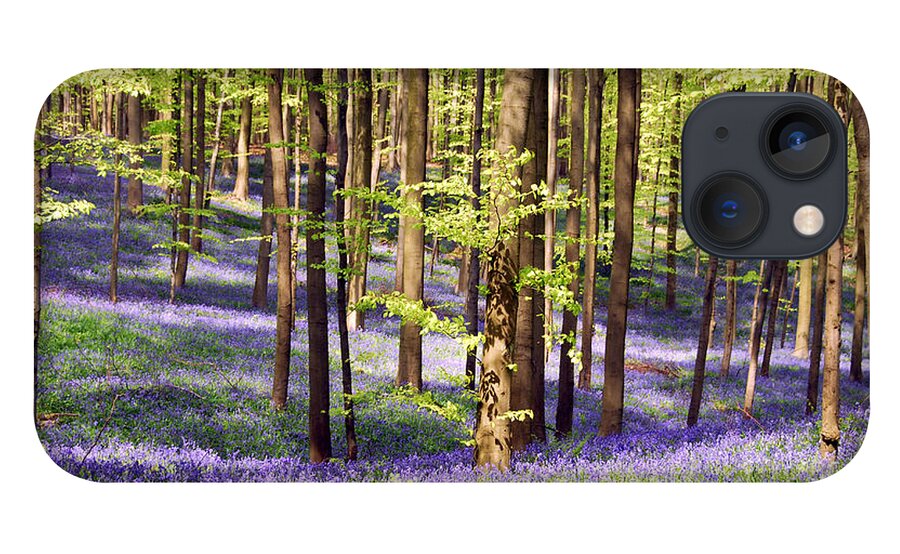 Scenics iPhone 13 Case featuring the photograph Blooming Bluebells And Beech Trees In by Brytta