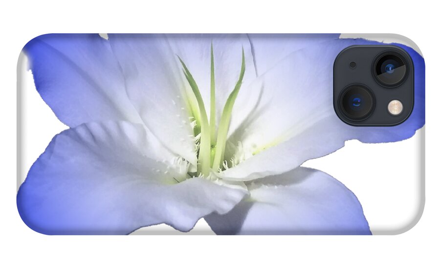 Blue iPhone 13 Case featuring the photograph Blue Lily Flower for Shirts by Delynn Addams