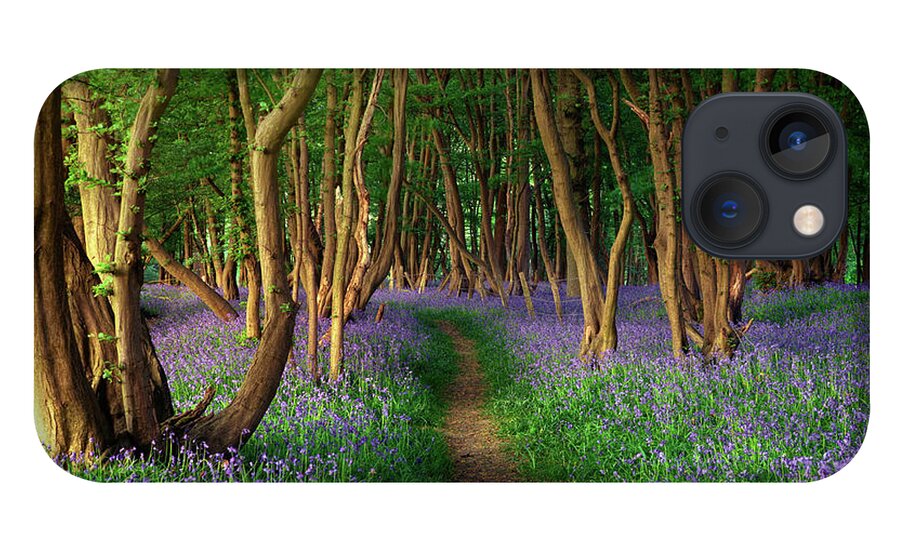 Tranquility iPhone 13 Case featuring the photograph Bluebells In Sussex by Photography By Sam C Moore