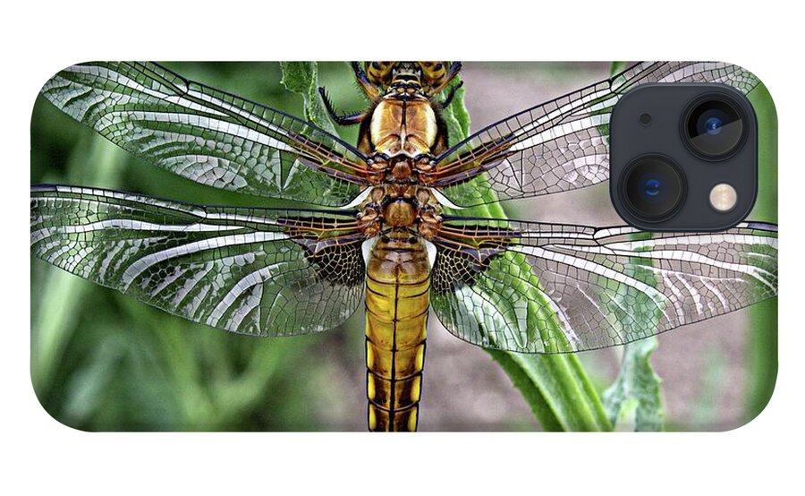Broad Bodied Chaser iPhone 13 Case featuring the photograph Broad bodied chaser by Martin Smith
