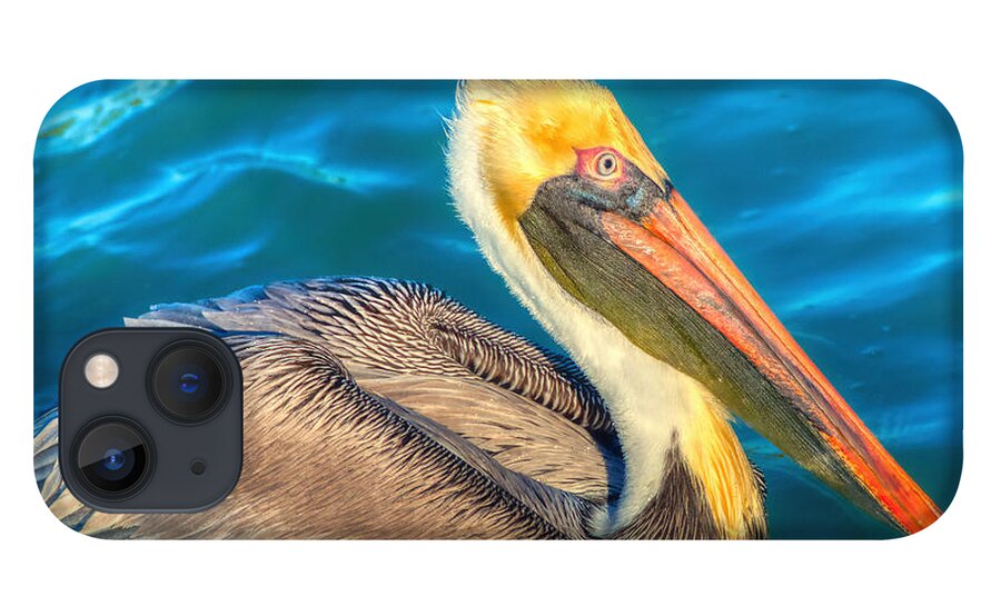 Avian iPhone 13 Case featuring the photograph Brown Pelican - North American bird of the pelican family by Stefano Senise