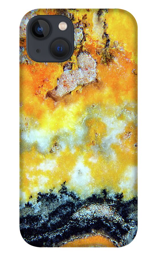 Fine Art Photography iPhone 13 Case featuring the photograph Bumblebee Jasper by John Strong
