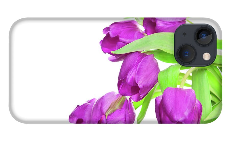 White Background iPhone 13 Case featuring the photograph Bunch Of Tulips by Kerstin Klaassen