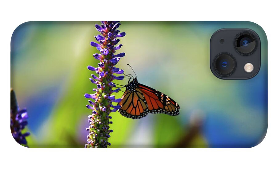 Colorful iPhone 13 Case featuring the photograph Butterfly and Flower by Scott Burd