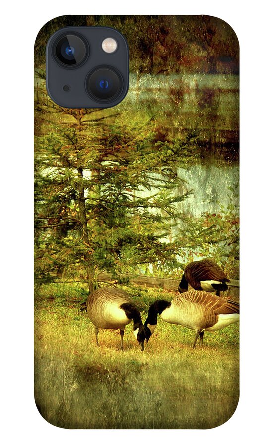 Autumn iPhone 13 Case featuring the photograph By The Little Tree - Lake Carasaljo by Angie Tirado