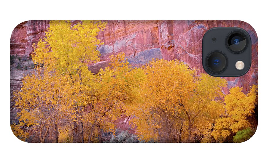 Canyon De Chelly iPhone 13 Case featuring the photograph Canyon de Chelly Fall Colors 1812 by Kenneth Johnson