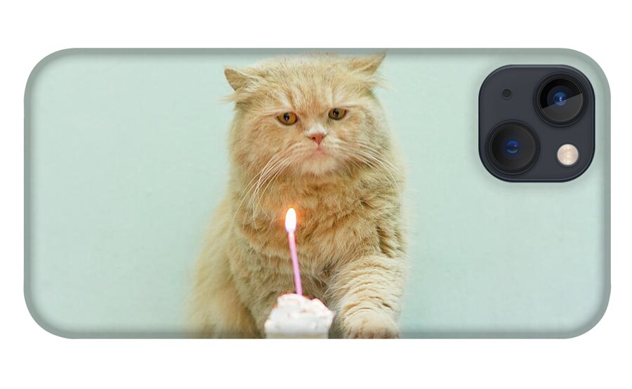 Pets iPhone 13 Case featuring the photograph Cat About To Bllow A Candle by Nga Nguyen