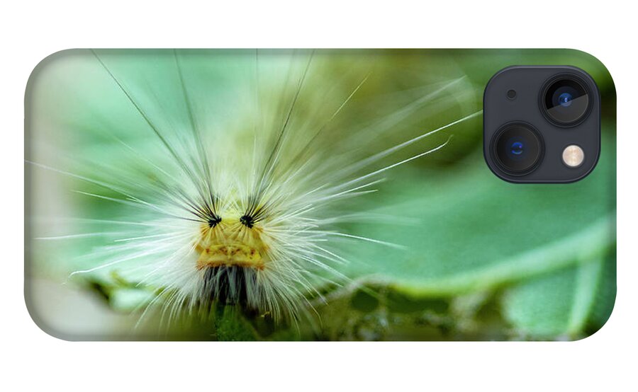 Macro iPhone 13 Case featuring the photograph Caterpillar Macro by Cathy Kovarik