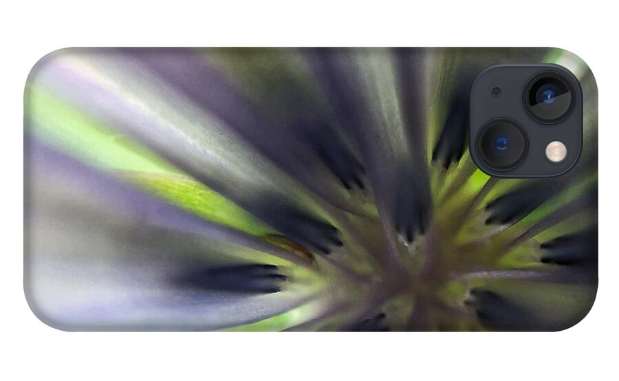 Macro Photography iPhone 13 Case featuring the photograph Chicory Flower Closeup by Jori Reijonen