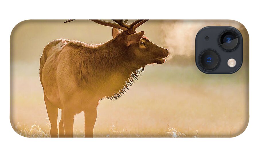Elk iPhone 13 Case featuring the photograph Frosty Bugle Breath by Marcy Wielfaert